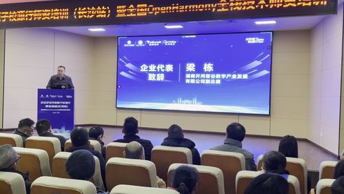 開鴻智谷攜手開源基金會成功舉辦校源行師資培訓 推動計算機技術教育發展